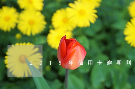 2019年信用卡逾期判刑人数 2019年信用卡逾期判刑人数