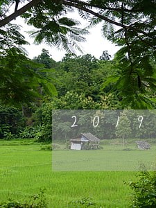 2019年信用卡逾期律师函 2019年信用卡逾期律师函