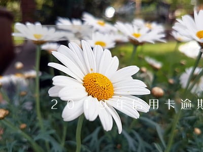 2019年信用卡逾期民事诉讼 2019年信用卡逾期民事诉讼