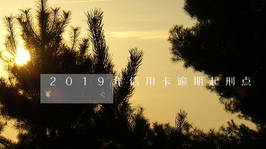 2019年信用卡逾期起刑点