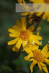 2019年信而富逾期 2019年信而富逾期