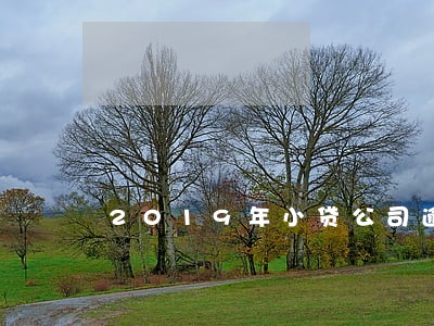 2019年小贷公司逾期率 2019年小贷公司逾期率