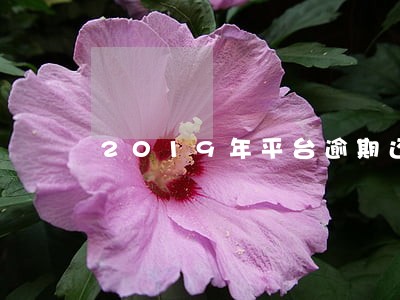 2019年平台逾期还不上 2019年平台逾期还不上