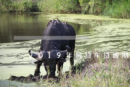 2019年房贷车贷逾期多少 2019年房贷车贷逾期多少