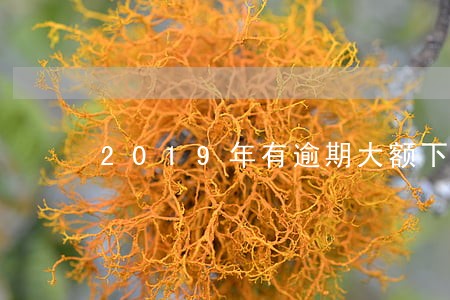 2019年有逾期大额下款 2019年有逾期大额下款
