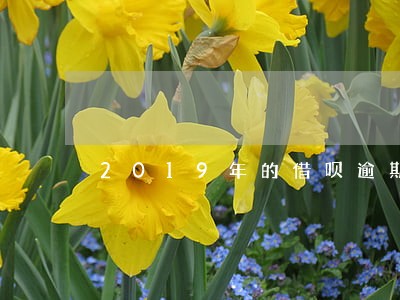 2019年的借呗逾期会上征信吗 2019年的借呗逾期会上征信吗