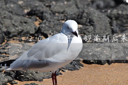 2019年读秒逾期后果怎样 2019年读秒逾期后果怎样