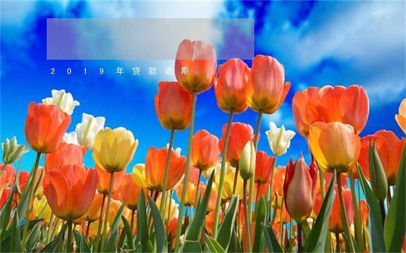 2019年贷款逾期 2019年贷款逾期