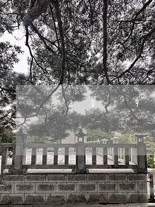 2019年车贷逾期有权拖车吗 2019年车贷逾期有权拖车吗
