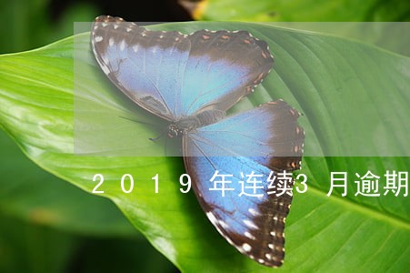 2019年连续3月逾期 2019年连续3月逾期