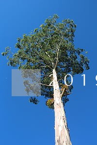 2019年逾期利率多少 2019年逾期利率多少