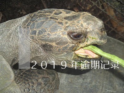 2019年逾期记录
