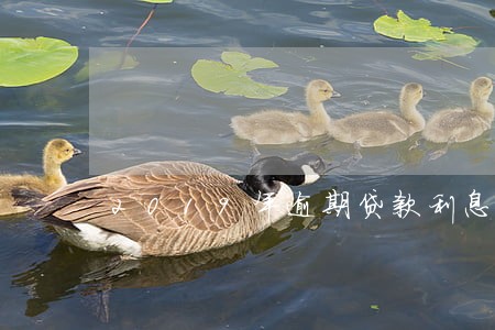 2019年逾期贷款利息 2019年逾期贷款利息