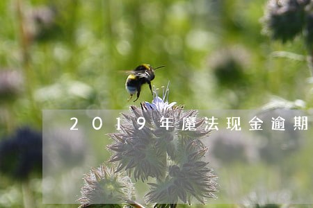 2019年魔法现金逾期 2019年魔法现金逾期