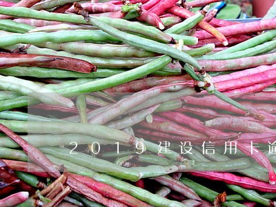 2019建设信用卡逾期一年 2019建设信用卡逾期一年