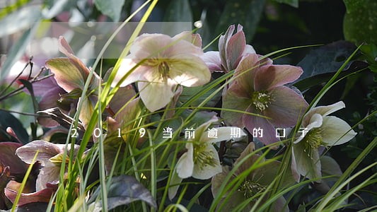 2019当前逾期的口子 2019当前逾期的口子