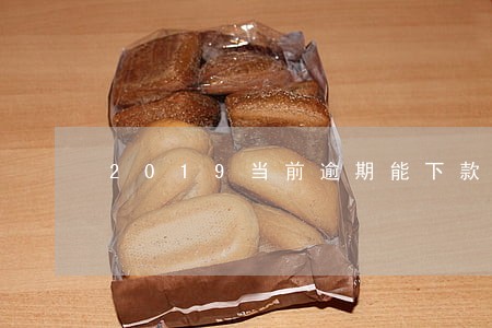 2019当前逾期能下款的口子 2019当前逾期能下款的口子