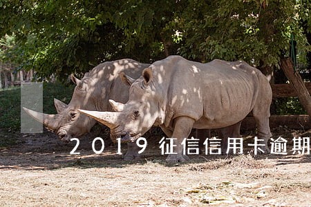 2019征信信用卡逾期 2019征信信用卡逾期