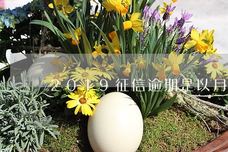 2019征信逾期是以月为单位 2019征信逾期是以月为单位