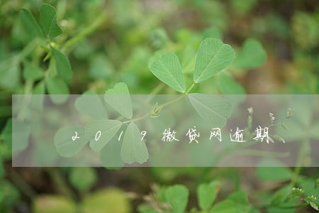 2019微贷网逾期
