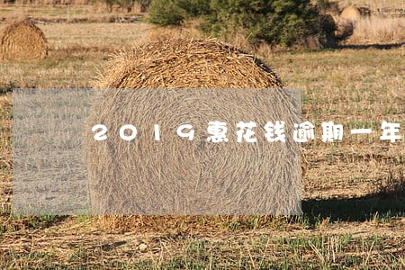 2019惠花钱逾期一年 2019惠花钱逾期一年