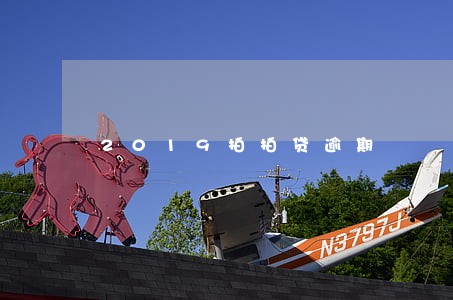 2019拍拍贷逾期 2019拍拍贷逾期