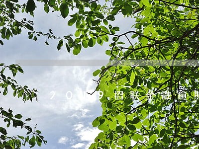 2019招联金融逾期 2019招联金融逾期