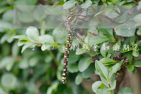 2019招联金融逾期怎么办 2019招联金融逾期怎么办