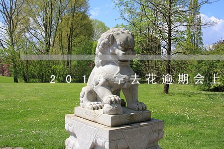 2019拿去花逾期会上征信吗 2019拿去花逾期会上征信吗