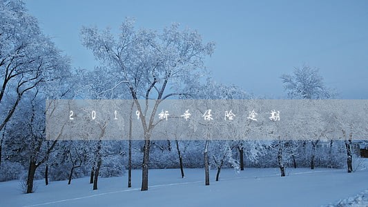 2019新华保险逾期 2019新华保险逾期