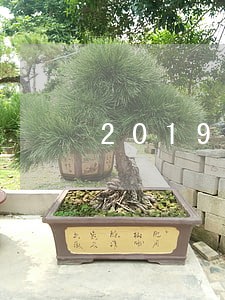 2019无视网贷逾期的口子 2019无视网贷逾期的口子