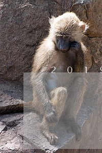 2019无视逾期灰名单贷款 2019无视逾期灰名单贷款