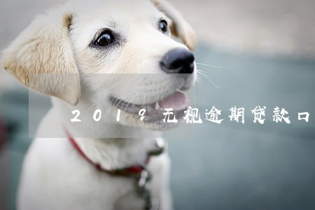 2019无视逾期贷款口子 2019无视逾期贷款口子