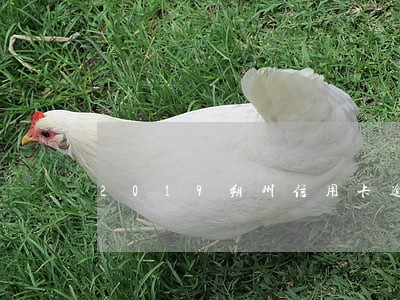 2019朔州信用卡逾期名单 2019朔州信用卡逾期名单