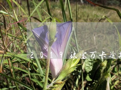 2019玖富万卡逾期会怎么样 2019玖富万卡逾期会怎么样