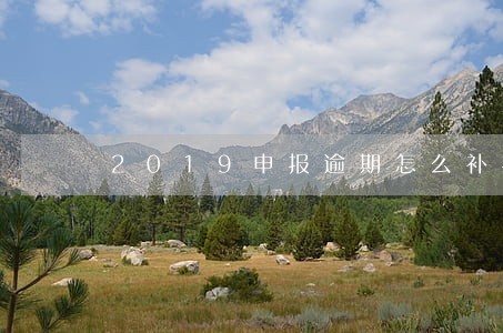 2019申报逾期怎么补报 2019申报逾期怎么补报