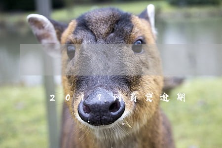 2019网商贷逾期