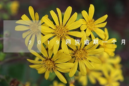 2019网贷逾期一个月了 2019网贷逾期一个月了