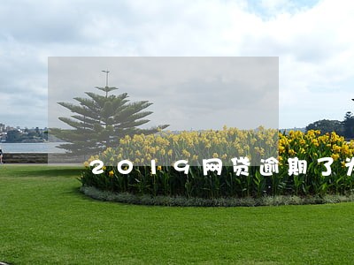 2019网贷逾期了为什么不催 2019网贷逾期了为什么不催
