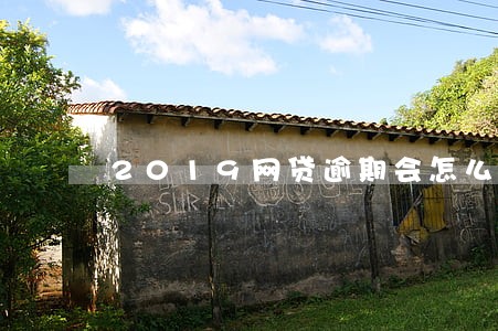 2019网贷逾期会怎么样 2019网贷逾期会怎么样