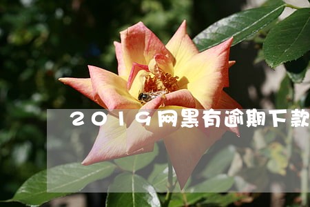 2019网黑有逾期下款的口子 2019网黑有逾期下款的口子