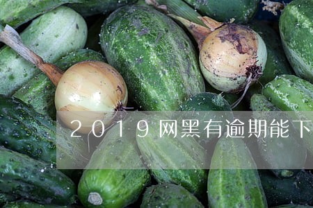 2019网黑有逾期能下的口子 2019网黑有逾期能下的口子