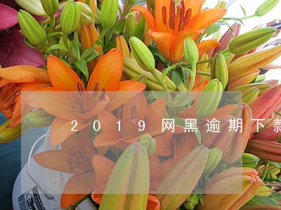 2019网黑逾期下款 2019网黑逾期下款
