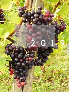 2019网黑逾期秒下口子有吗 2019网黑逾期秒下口子有吗