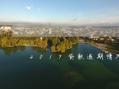 2019贷款逾期情况 2019贷款逾期情况