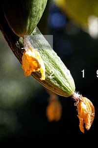 2019车辆年审逾期罚款 2019车辆年审逾期罚款
