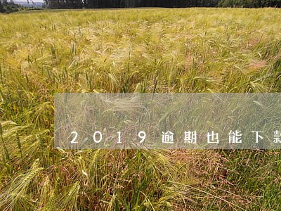 2019逾期也能下款的小贷 2019逾期也能下款的小贷