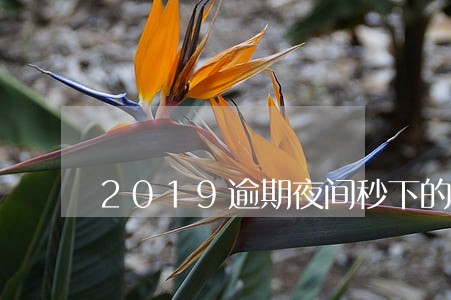 2019逾期夜间秒下的口子 2019逾期夜间秒下的口子