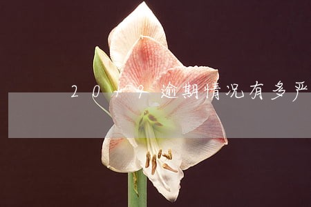 2019逾期情况有多严重 2019逾期情况有多严重