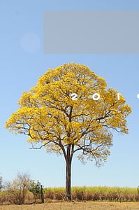2019逾期稳下款的口子 2019逾期稳下款的口子